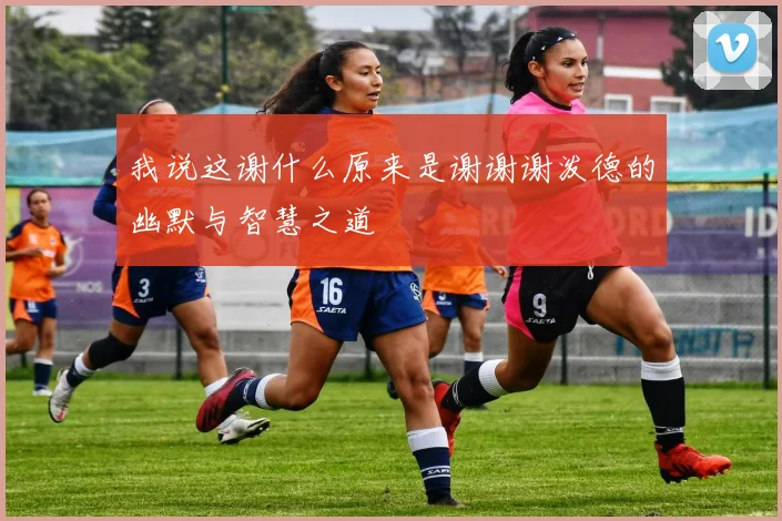 我说这谢什么原来是谢谢谢泼德的幽默与智慧之道