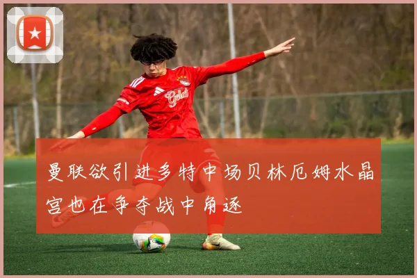 曼联欲引进多特中场贝林厄姆水晶宫也在争夺战中角逐