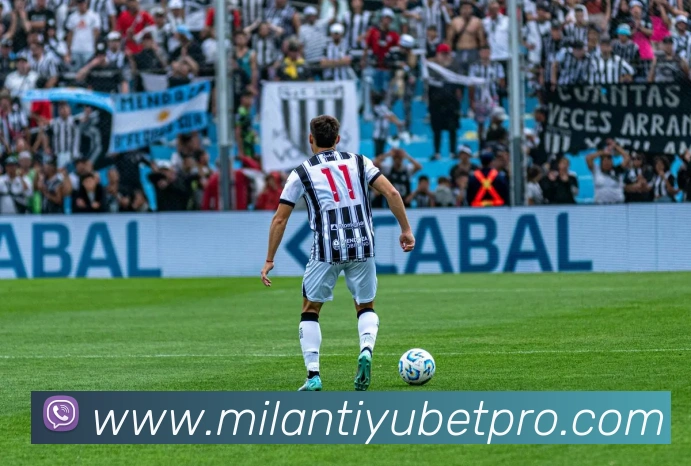 App Interface Preview