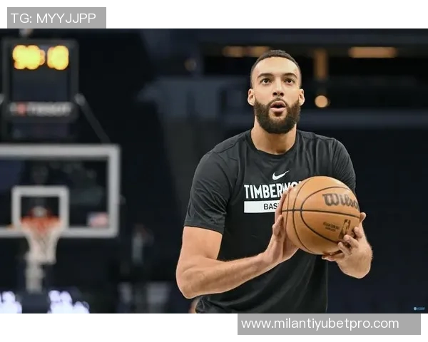 芬奇强调对戈贝尔一视同仁不会为其设定特殊比赛规则